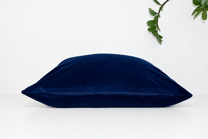 Blue Velvet Pillowcase